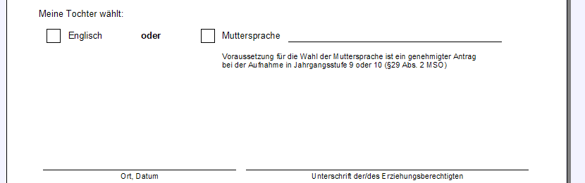 msa_fachwahl2.png