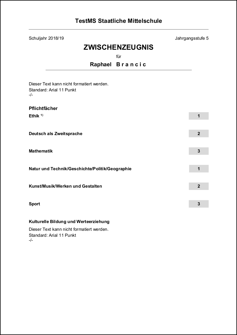 muster_zwischenzeugnis_dk5_1.png