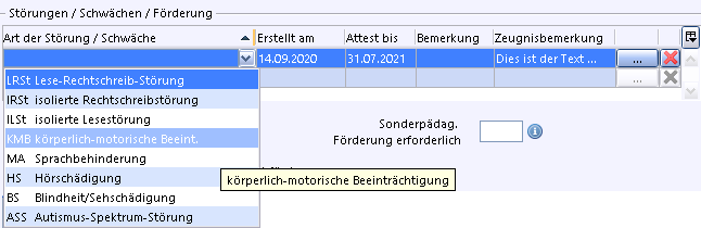 bemerkungshelper_lrs_stoerung.png