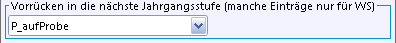 bemerkungshelper_vorruecken_jgst.png