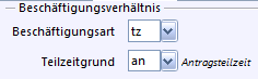 beschaeftigungsverhaeltnis_1.png