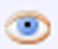 icon-auge.png