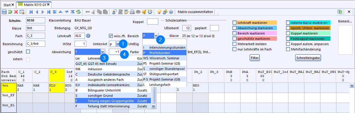 profilstunden_matrix_teilung.png